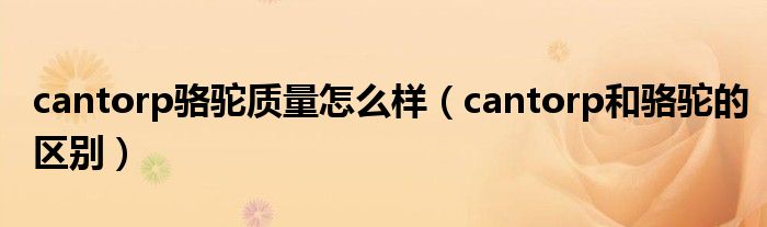 开云真人平台cantorp骆驼质量怎么样（cantorp和骆驼的区别）