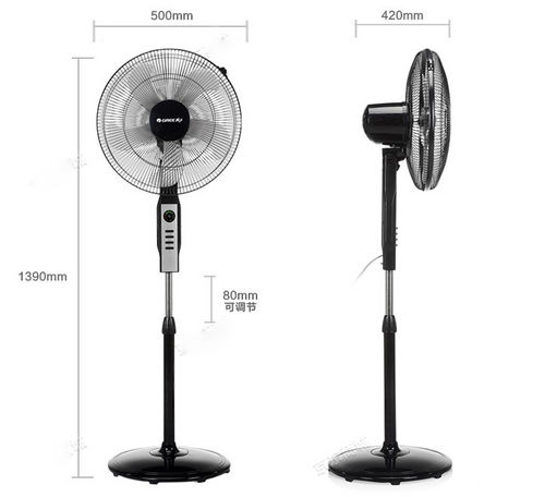 开云真人官网省钱避暑我有妙招一之家用电风扇导购(图1)